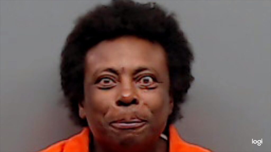 MEDLOCK, PAMALA EVONNE arrest record in Smith County, Texas MEDLOCK, PAMALA EVONNE arrested in Smith County, Texas mugshot