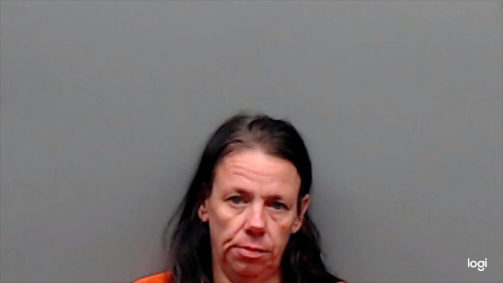 CHEATHAM, JULIA RENEE arrested in Smith County, Texas mugshot