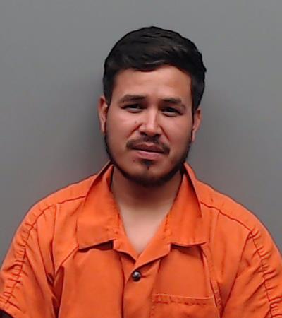 HERNANDEZ, PEDRO JAVIER booking photo