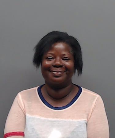 ANDERSON, BRIDGET RAY booking photo