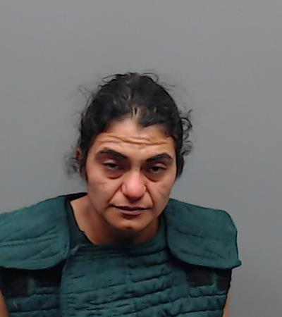 GONZALEZ, ILIANA MARISOL booking photo