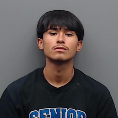 ZEPEDA, HECTOR booking photo