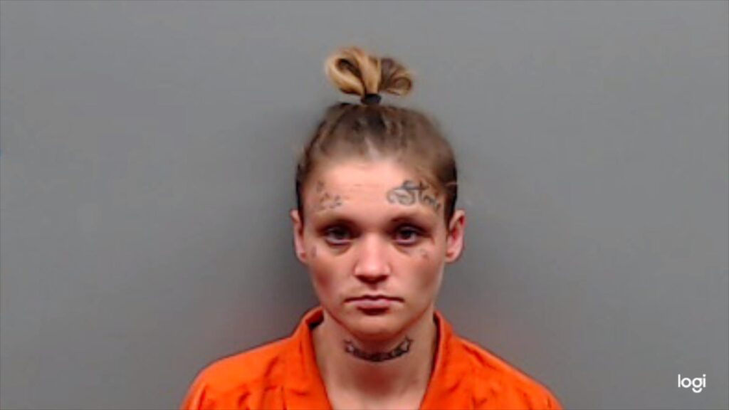 NIXON, ALEXANDRIA LOUSIA arrest record in Smith County, Texas NIXON, ALEXANDRIA LOUSIA arrested in Smith County, Texas mugshot