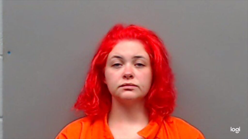 JAMES, TOBI RENAE arrested in Smith County, Texas mugshot