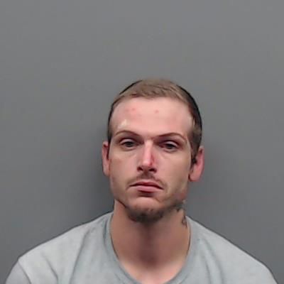 TAYLOR, DYLAN LEE booking photo