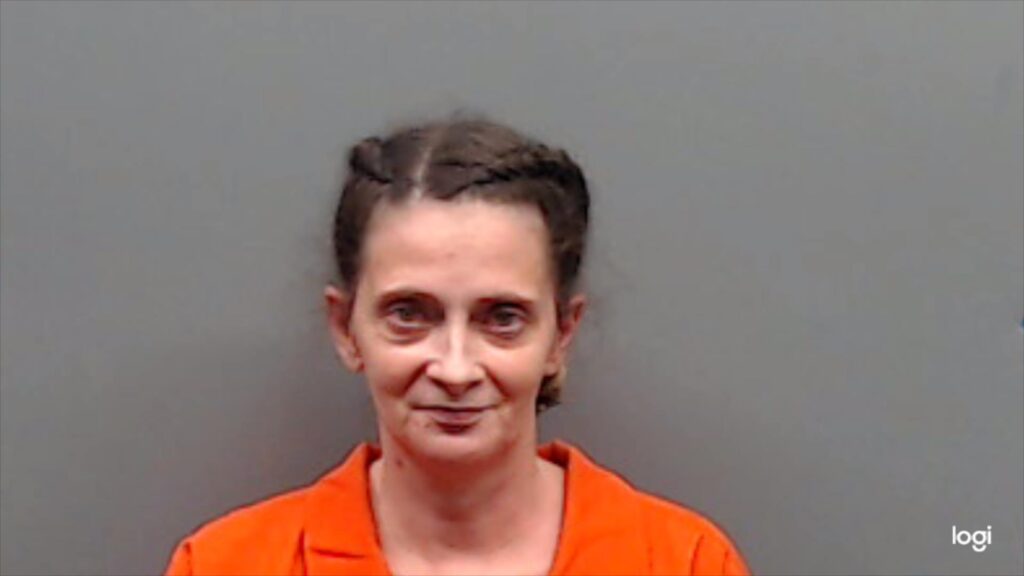 DAVIS, LISA MICHELLE arrested in Smith County, Texas mugshot