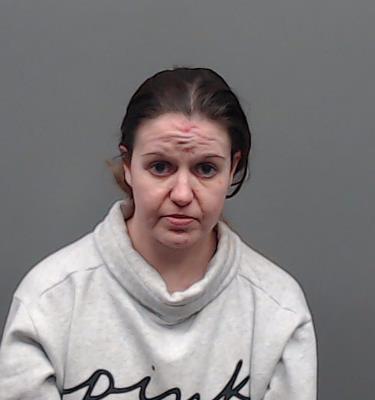 HEASLEY, DANA ELIZABETH booking photo