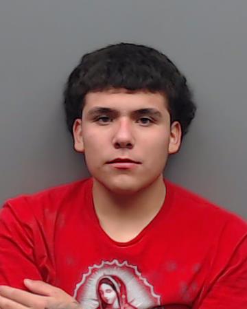 VILLEGAS, LUIS booking photo