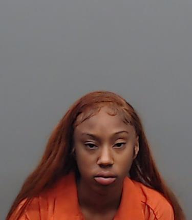 PARKER, CHELSI MICHELLE booking photo