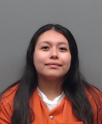 PINEDA, IDALIS NAYELI booking photo