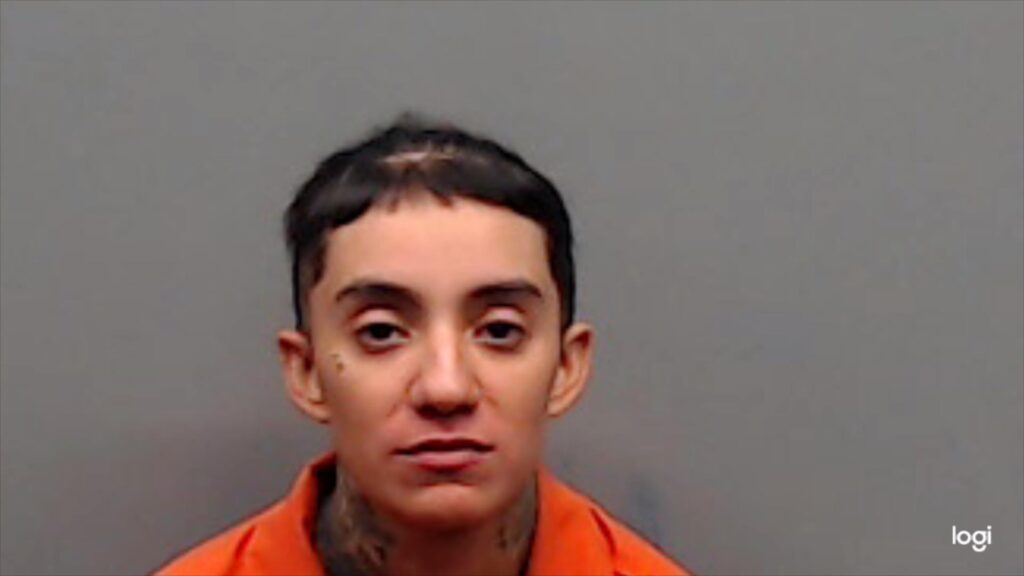 LEON, BRENDA JOANNA arrested in Smith County, Texas mugshot
