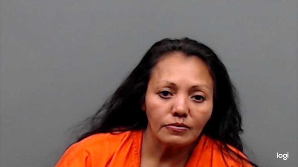 PERDOMO, HAYDEE ZAVALA arrested in Smith County, Texas mugshot