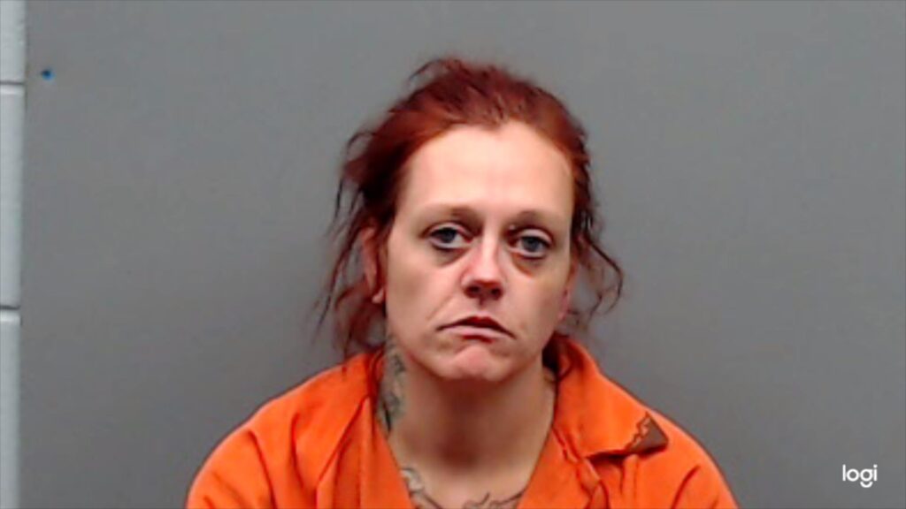 SPARKS, TOBI RENEE arrested in Smith County, Texas mugshot