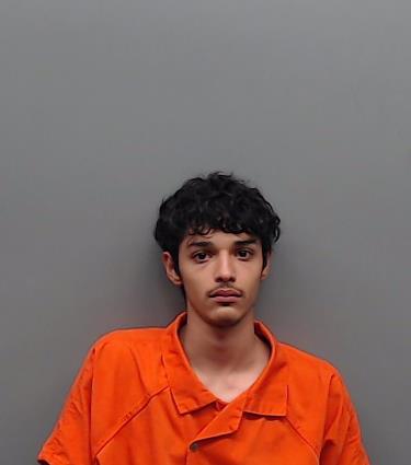 MEDINA, ERIK JOEL booking photo
