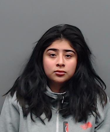 BENITEZ, ADRIANA booking photo