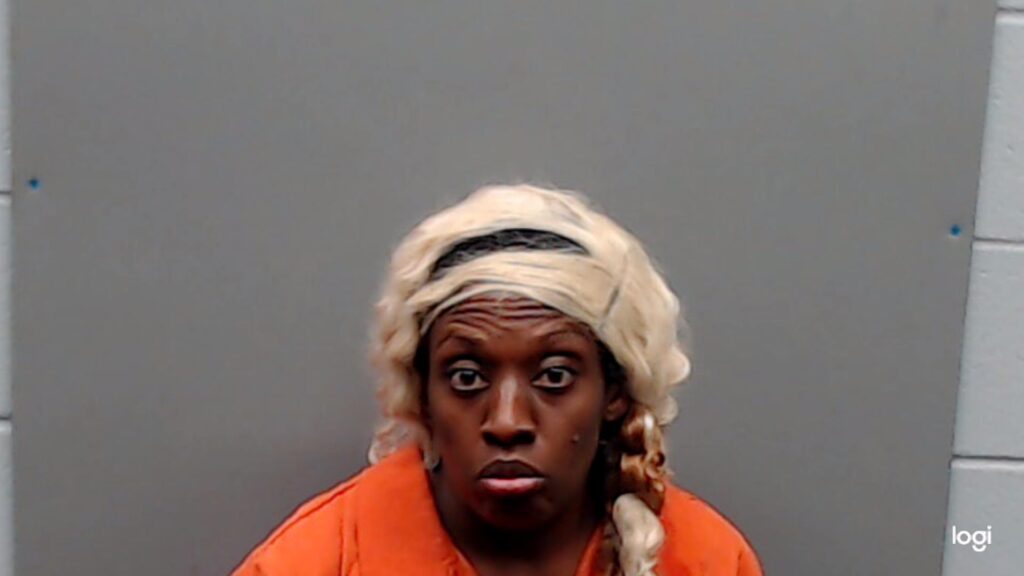 LEE, CONSTANCE MARIE arrest record in Smith County, Texas LEE, CONSTANCE MARIE arrested in Smith County, Texas mugshot