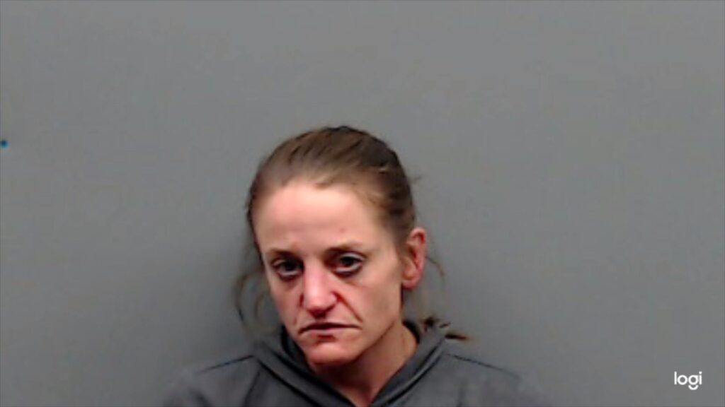 AINSWORTH, LISA arrest record in Smith County, Texas AINSWORTH, LISA arrested in Smith County, Texas mugshot