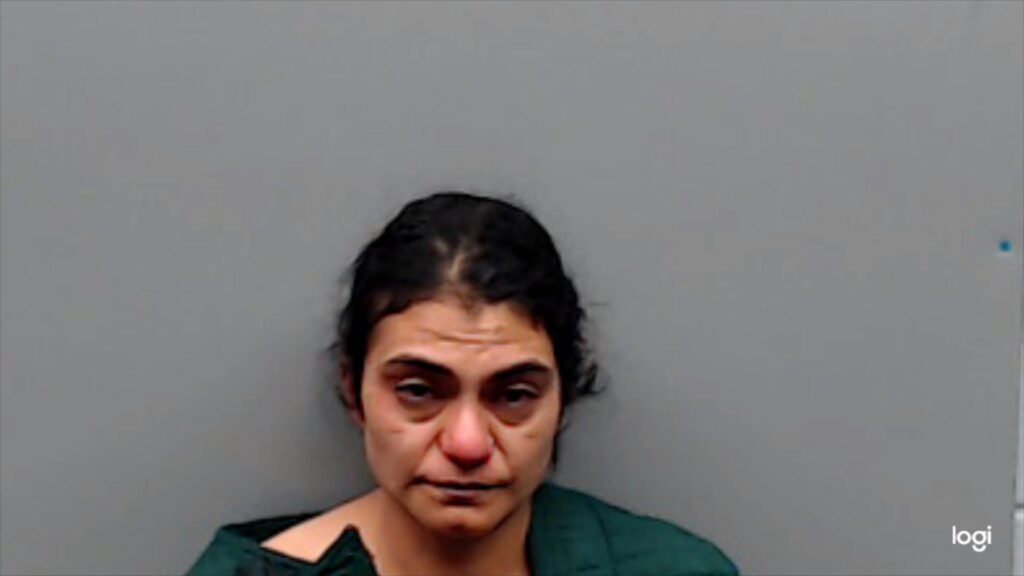 GONZALEZ, ILIANA MARISOL arrest record in Smith County, Texas GONZALEZ, ILIANA MARISOL arrested in Smith County, Texas mugshot