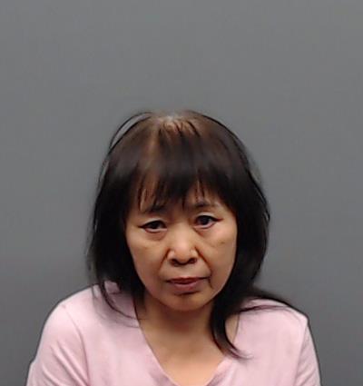 YUAN, JIE booking photo