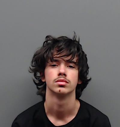 WOODS, LANDON booking photo