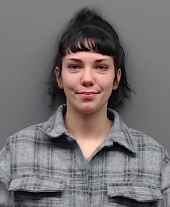 DOBBS, LAURA NICOLE booking photo