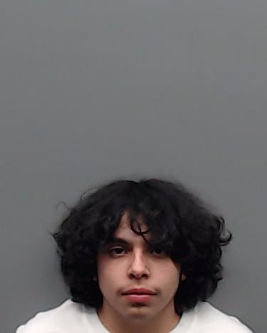 VARGAS, ISRAEL booking photo