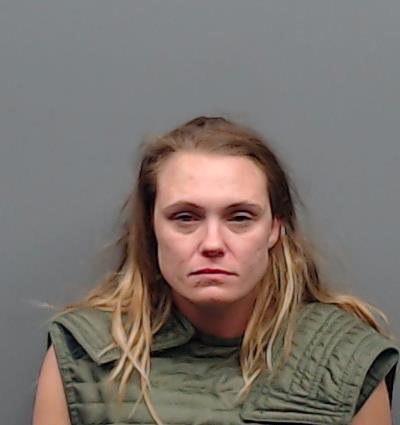 JENKINS, ERICA DANIELLE booking photo