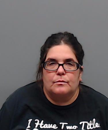 WEBSTER, JAMIE LYNN booking photo