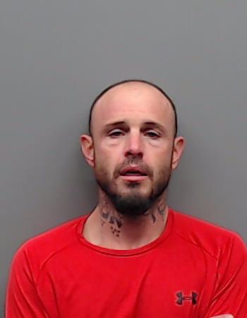 MCKINLEY, RYAN WESTON booking photo