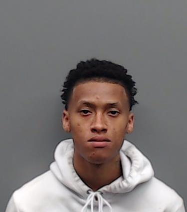 LOLLINS, BRANDAVEON JOE booking photo