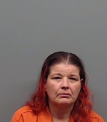 MASON, ERIKA booking photo