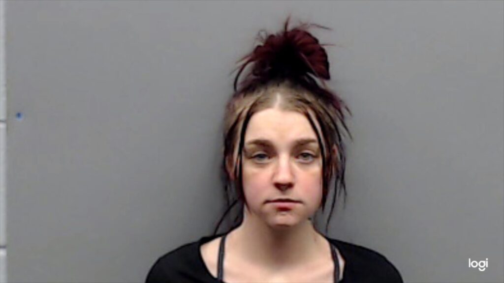 WALSH, LAURYN FAITH arrested in Smith County, Texas mugshot