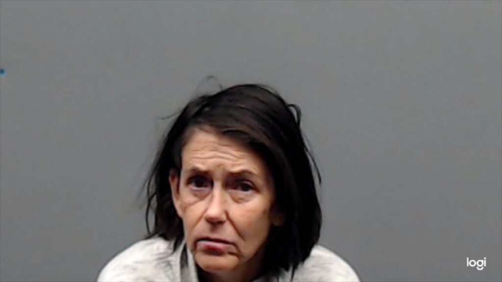 DAVIDSON-EVERITT, ABBI GALE arrested in Smith County, Texas mugshot