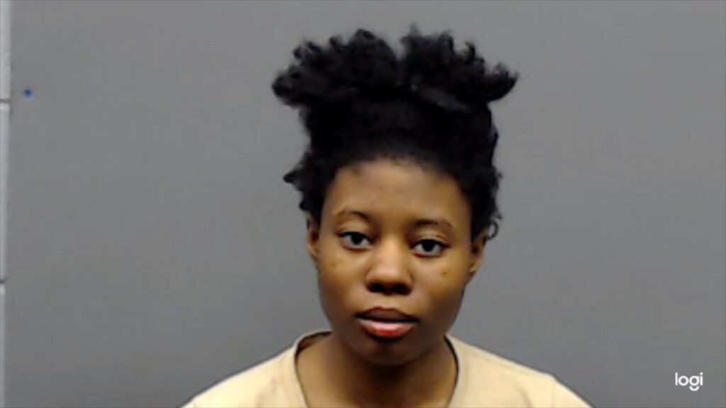 HOGAN, ANYA arrested in Smith County, Texas mugshot
