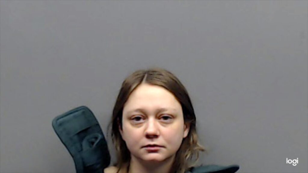 EAKIN, ABAGAIL arrested in Smith County, Texas mugshot