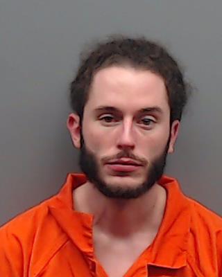 ROBERSON, IAN NEAL booking photo