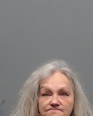 LANE, DANNA LOUISE booking photo