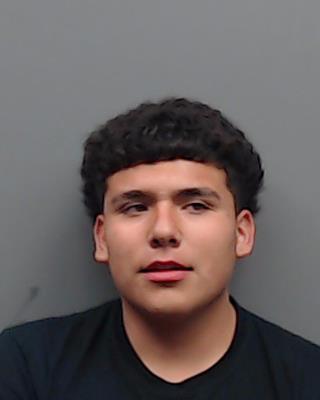 VILLEGAS, LUIS booking photo