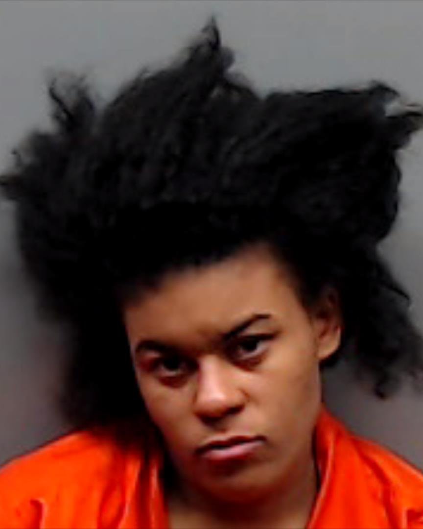 JOHNSON, JAMEKA ANN booking photo