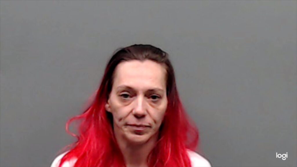 MCELHANEY, TINA arrested in Smith County, Texas mugshot