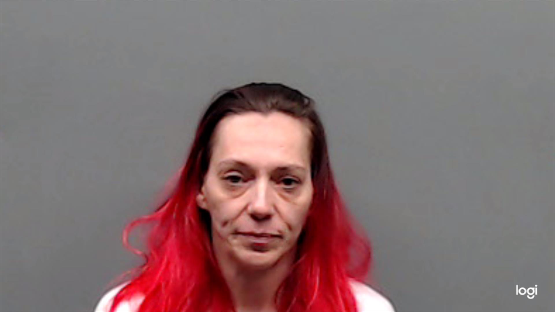 MCELHANEY, TINA booking photo