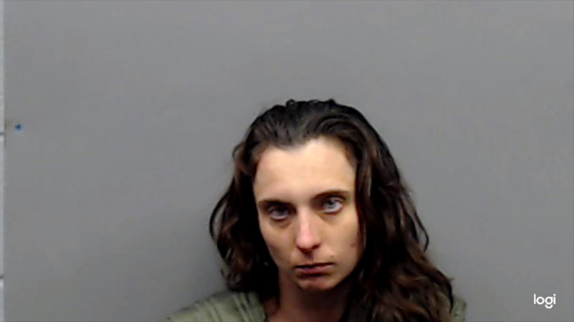 DOLINGER, CHRISTINA booking photo