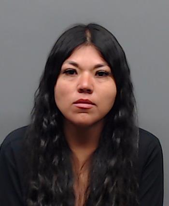GONZALEZ-VARGAS, KAREN JANETH booking photo