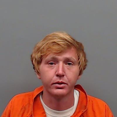 COLLINS, TYLER LAEL booking photo
