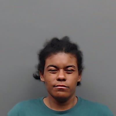 JOHNSON, JAMEKA ANN booking photo