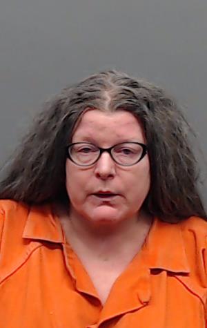 AMES, SHANNON LORENE booking photo
