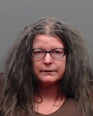 AMES, SHANNON LORENE booking photo