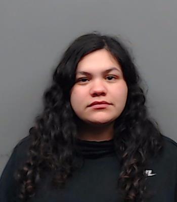 WILSON, DANIELLE CHRISTINA booking photo