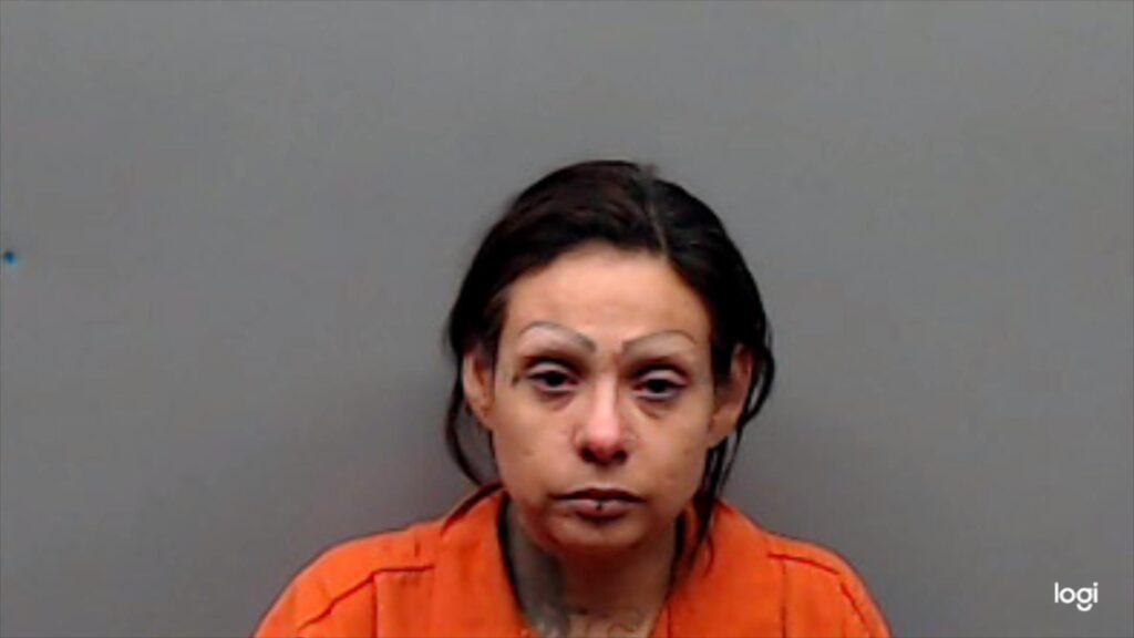 SILVA, RAYCHELL LYNN arrest record in Smith County, Texas SILVA, RAYCHELL LYNN arrested in Smith County, Texas mugshot