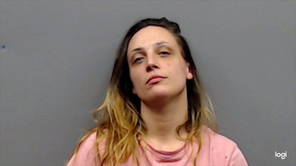 ALDRIDGE, ASHLEY MARIE arrested in Smith County, Texas mugshot